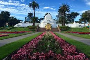 Conservatory Of Flowers