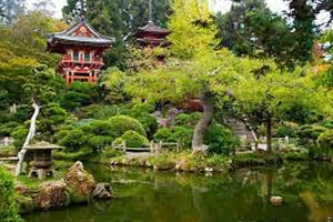 Japanese Tea Garden